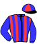 casaque portée par Lebourgeois Y. jockey du cheval de course LIBELLULE VERGNIER, information pmu ZETURF