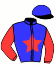 casaque portée par Lenain G. jockey du cheval de course JASMINE DE LYONS, information pmu ZETURF