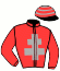 casaque portée par Rousseau P. L. jockey du cheval de course INDIA DU PONT, information pmu ZETURF