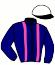casaque portée par Mottier M. jockey du cheval de course HARBOUR D'ORGERES, information pmu ZETURF
