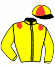 casaque portée par Thomain D. jockey du cheval de course KIVAOA DU PERCHE, information pmu ZETURF