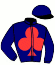 casaque portée par Saussaye V. jockey du cheval de course IVOIRE D'ERPION, information pmu ZETURF