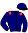 casaque portée par Collard P. E. jockey du cheval de course HORIZON DE MAI, information pmu ZETURF