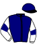 casaque portée par Lenoir A. jockey du cheval de course FALCO DES ROCHERS, information pmu ZETURF