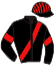 casaque portée par Bonne D. jockey du cheval de course MUSETT AF DJUPMYRA, information pmu ZETURF