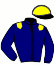 casaque portée par Rochard B. jockey du cheval de course KARINA STEED, information pmu ZETURF