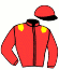 casaque portée par Gelormini G. jockey du cheval de course KAPITANO DE SOURCE, information pmu ZETURF