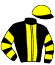 casaque portée par Mottier M. jockey du cheval de course GAIN ULTIME, information pmu ZETURF