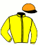 casaque portée par Hardy B. jockey du cheval de course HELIOS SI, information pmu ZETURF