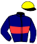 casaque portée par Rochard B. jockey du cheval de course LIBERTY AVENUE, information pmu ZETURF