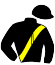 casaque portée par Larue Lou. F. jockey du cheval de course JIDEO STREET, information pmu ZETURF