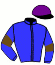 casaque portée par Ternisien Ph. jockey du cheval de course LE ROI DES BRIERES, information pmu ZETURF