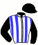 casaque portée par Sundgren Joh. L. jockey du cheval de course LA COMTESSE MADRIK, information pmu ZETURF
