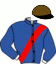 casaque portée par Martens C. jockey du cheval de course TJACKO ZAZ (SE), information pmu ZETURF