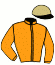 casaque portée par Feron J. Ch. jockey du cheval de course DOLLAR LE BLANC (FR), information pmu ZETURF