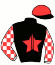 casaque portée par Lefevre N. G. jockey du cheval de course FAUBOURG DU PERCHE (FR), information pmu ZETURF