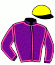 casaque portée par Hardouin E. jockey du cheval de course EVASION, information pmu ZETURF