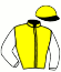 casaque portée par Benoist G. jockey du cheval de course GREYGORIA, information pmu ZETURF