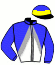 casaque portée par Lecoeuvre C. jockey du cheval de course FRENCH CONTE, information pmu ZETURF