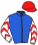 casaque portée par Piccone T. jockey du cheval de course HARMONY GREY, information pmu ZETURF