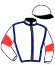 casaque portée par Nicoleau J. jockey du cheval de course CAPTAIN DE CERISY, information pmu ZETURF