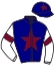 casaque portée par Demuro C. jockey du cheval de course LUMINESCE, information pmu ZETURF