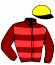 casaque portée par Pouchin A. jockey du cheval de course PERSIAN JEWEL, information pmu ZETURF