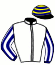 casaque portée par Doyle Mme Hol. jockey du cheval de course ALBASHEER, information pmu ZETURF