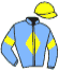 casaque portée par Bachelot T. jockey du cheval de course RIBALTAGAIA, information pmu ZETURF