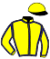 casaque portée par Pouchin A. jockey du cheval de course BRIGHT THUNDER, information pmu ZETURF