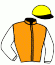 casaque portée par Soumillon C. jockey du cheval de course SHINING YELLOW, information pmu ZETURF