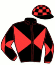 casaque portée par Non Partant jockey du cheval de course CRUELLA DE VIL, information pmu ZETURF