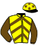 casaque portée par Pouchin A. jockey du cheval de course SALALAH, information pmu ZETURF