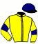 casaque portée par Barzalona M. jockey du cheval de course GOLDEN ROCK, information pmu ZETURF