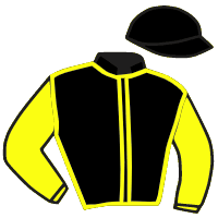 casaque portée par Soumillon C. jockey du cheval de course VICTORIA STORM, information pmu ZETURF