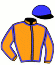 casaque portée par Pelicier Jul. jockey du cheval de course BOW LANE, information pmu ZETURF