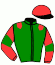 casaque portée par Dersoir-habib W. jockey du cheval de course ILOS DU GOUTIER, information pmu ZETURF