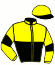 casaque portée par Lamy A. jockey du cheval de course JIPSIE DU LAYON, information pmu ZETURF