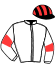 casaque portée par Nivard F. jockey du cheval de course JOYEUX DES SOURCES, information pmu ZETURF