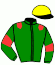 casaque portée par Rousselet T. jockey du cheval de course GIANT DREAM, information pmu ZETURF
