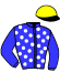 casaque portée par Jannier A. jockey du cheval de course JOY FOR DANCING, information pmu ZETURF