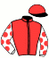casaque portée par Danet Y. jockey du cheval de course JERRY DE BELLANDE, information pmu ZETURF