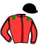casaque portée par Gence F. jockey du cheval de course ISOLACCIO, information pmu ZETURF