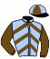casaque portée par Balu J. jockey du cheval de course JOKER DE FROULAY, information pmu ZETURF