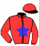 casaque portée par Lecoq M. jockey du cheval de course JACINTHE DES BOIS, information pmu ZETURF