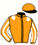 casaque portée par Rochard B. jockey du cheval de course DJANGO DE LA PRADE, information pmu ZETURF