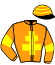 casaque portée par Cherbonnel D. jockey du cheval de course KENAVO PAROYO, information pmu ZETURF