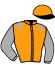 casaque portée par Joseph F. jockey du cheval de course KORTEX, information pmu ZETURF