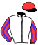 casaque portée par Tison Mlle S. jockey du cheval de course KAIO CHOP (FR), information pmu ZETURF