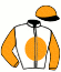 casaque portée par Barzalona M. jockey du cheval de course TEMPS FANTASTIQUE, information pmu ZETURF